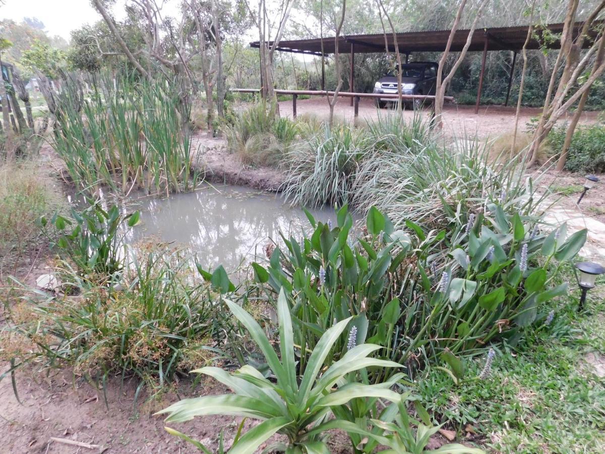 Arandu Ecolodge Колония-Карлос-Пеллегрини Экстерьер фото